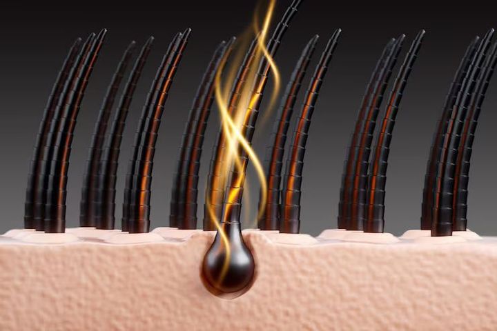 Hair Growth Information: Scalp Health and Hair Structure